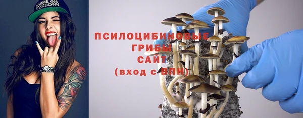 Альфа ПВП Медвежьегорск