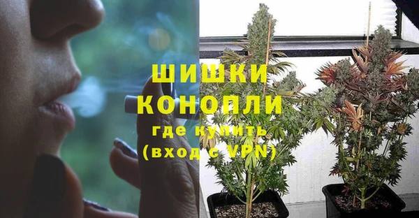 МДПВ Медногорск