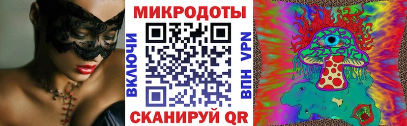Купить закладки  Елизово  Псилоцибиновые грибы MAGIC MUSHROOMS 